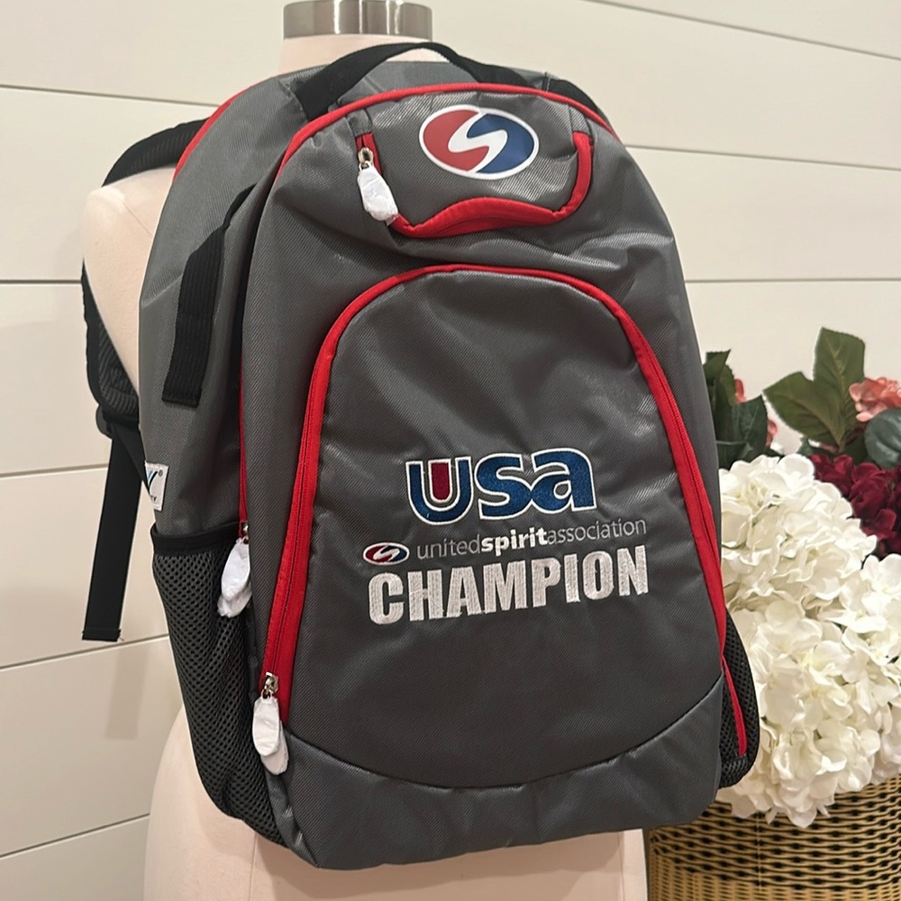 USA Champion backpack gray grey dance